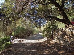 183 HYERES ET SES PALMIERS D03_000012